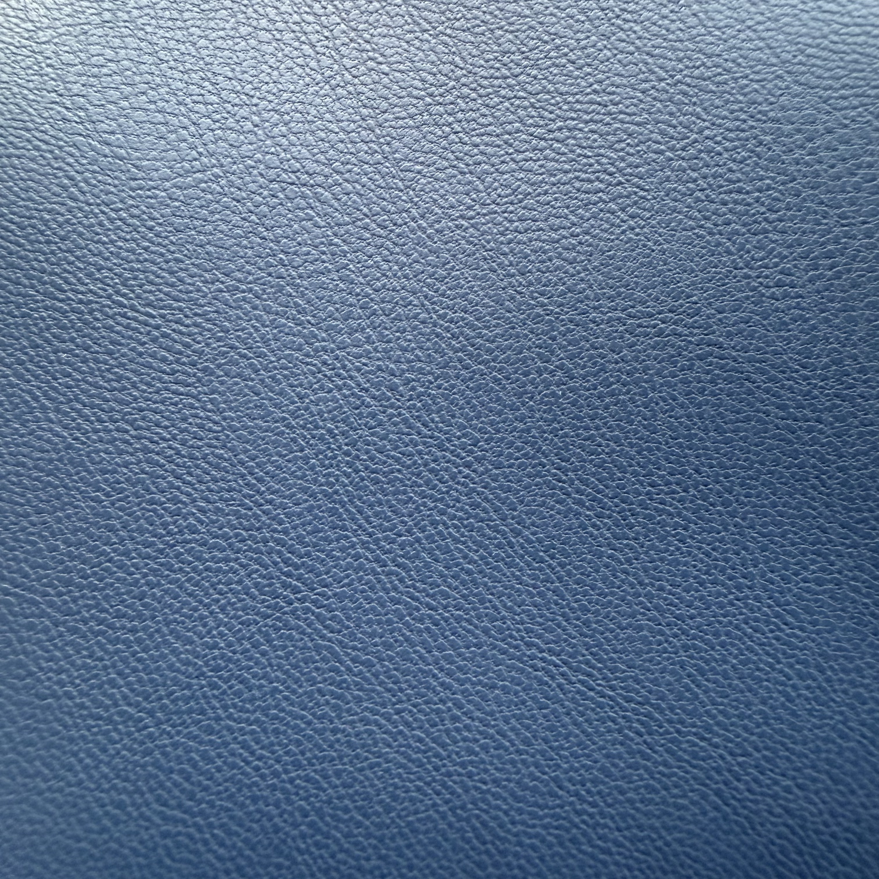 Navy Blue Garment Leather
