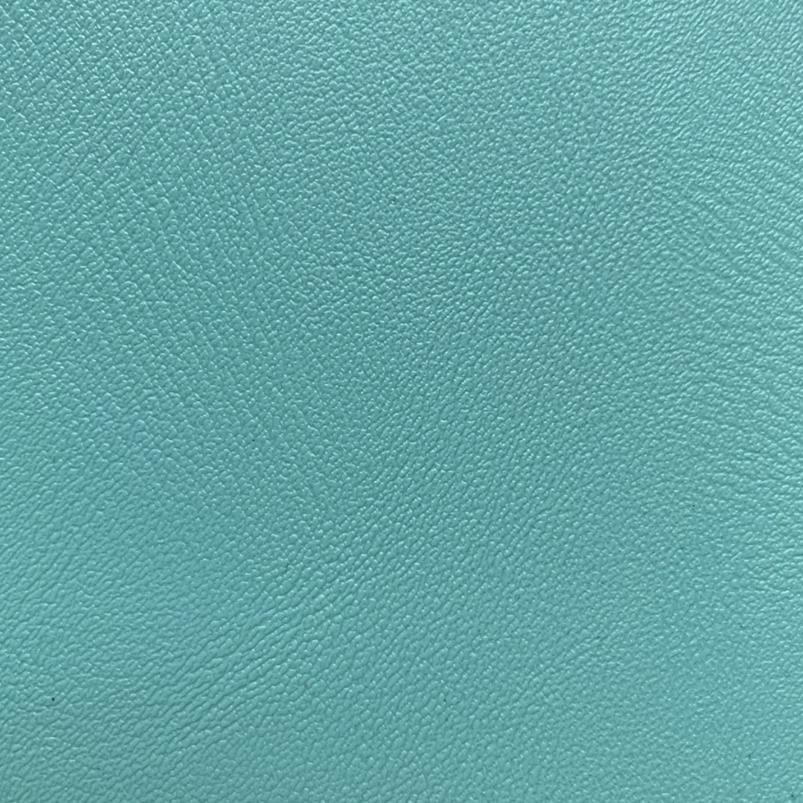 Lake Blue Medical Leather